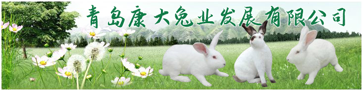 青岛康大兔业发展有限公司